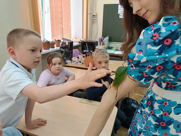 Учащиеся 1 " Б" класса познакомились с миром экзотических животных.